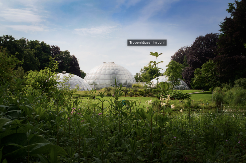 File:Screenshot 2025-08-18 at 08.14.59.png