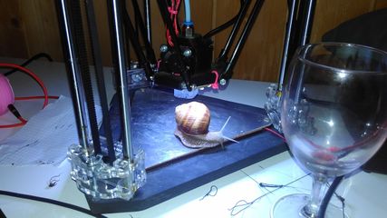 Setting up the 3D printer, first experiments with snail-printing
