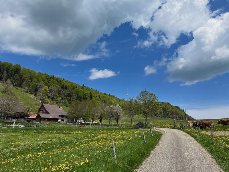 File:Walk Passwang2.jpg