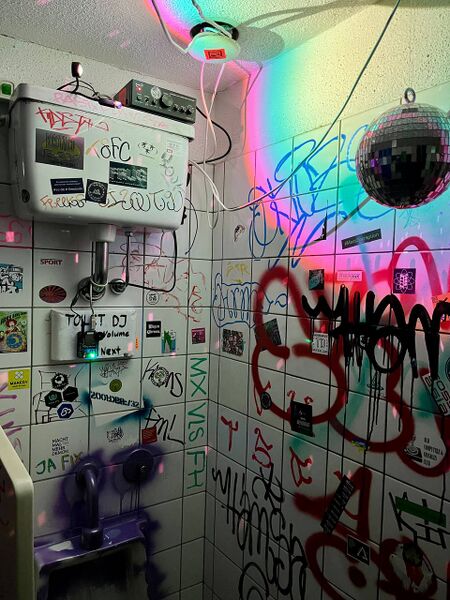 File:Toilet rave.jpg